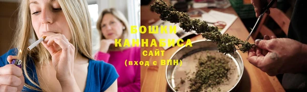 ПСИЛОЦИБИНОВЫЕ ГРИБЫ Арсеньев