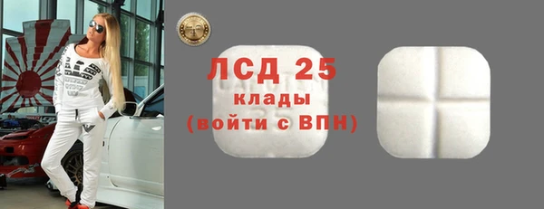 ПСИЛОЦИБИНОВЫЕ ГРИБЫ Арсеньев