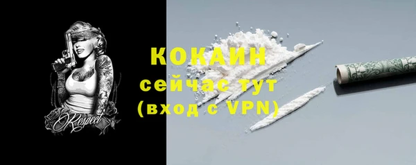 гашик Переславль-Залесский