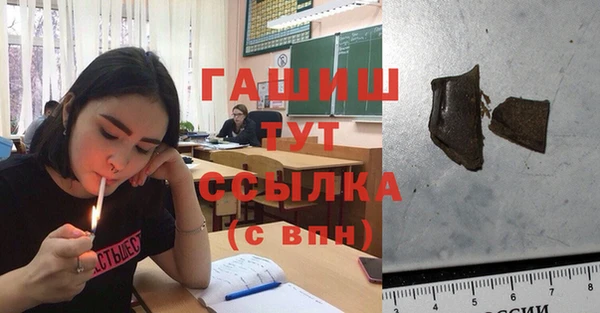 сатива Пересвет