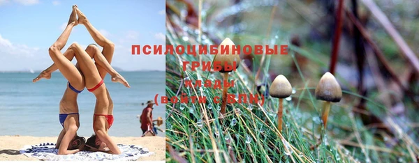 трава Армянск