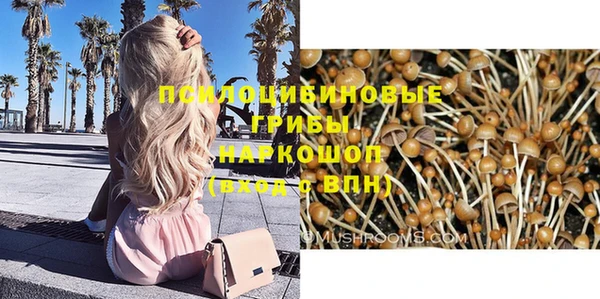ПСИЛОЦИБИНОВЫЕ ГРИБЫ Арсеньев