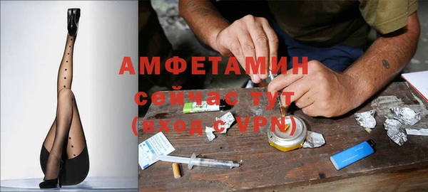 ПСИЛОЦИБИНОВЫЕ ГРИБЫ Арсеньев